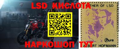 сатива Балаково