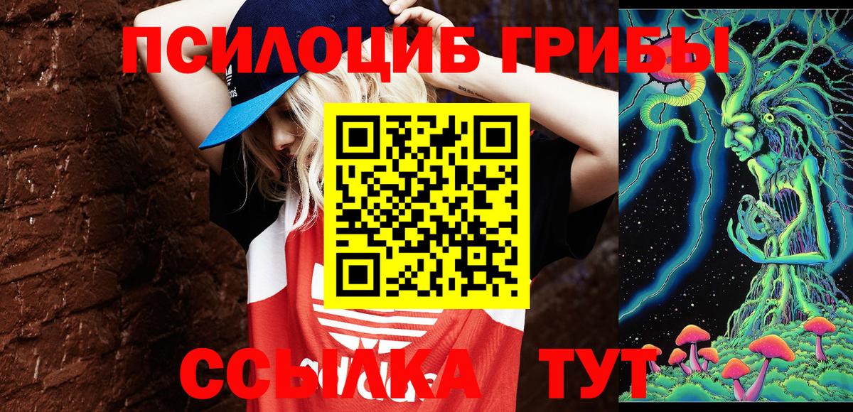 Псилоцибиновые грибы мицелий  Вход с VPN  хочу   Горно-Алтайск 